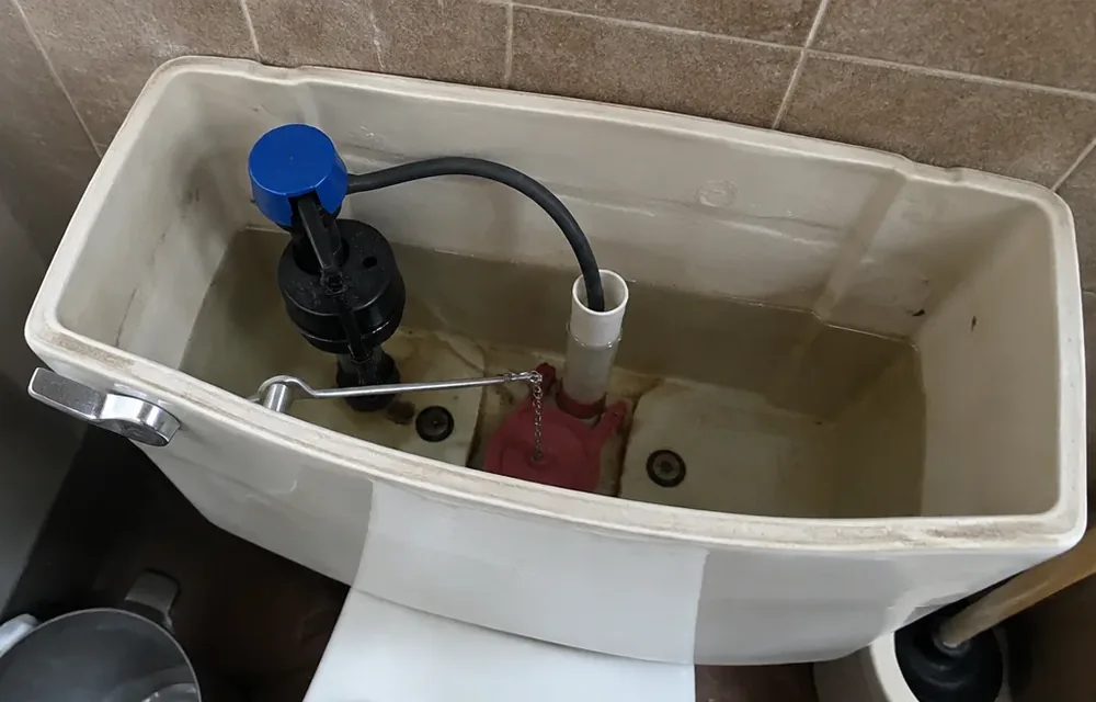 Toilet tank interior with flapper and fill valve in a Chelmsford bathroom